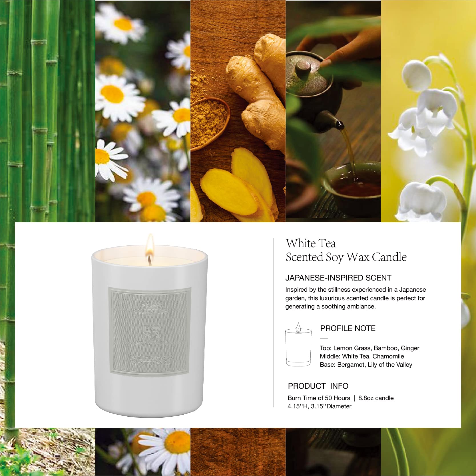 Premium White Tea Scented Soy Candle - 8.8oz All Natural Essential Oil Aromatherapy Candle | 50 Hours Burn Time | Relaxing Home Spa Gift for Women | Perfect for Meditation, Yoga & Stress Relief | Includes Elegant Gift Box