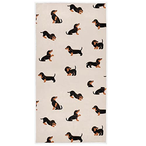 Happy Dachshund Dog