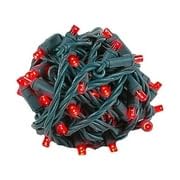 LED Christmas Lights Set - 50 Mini Twinkle Lights, 25ft Red & Green Wire for Holiday Decor