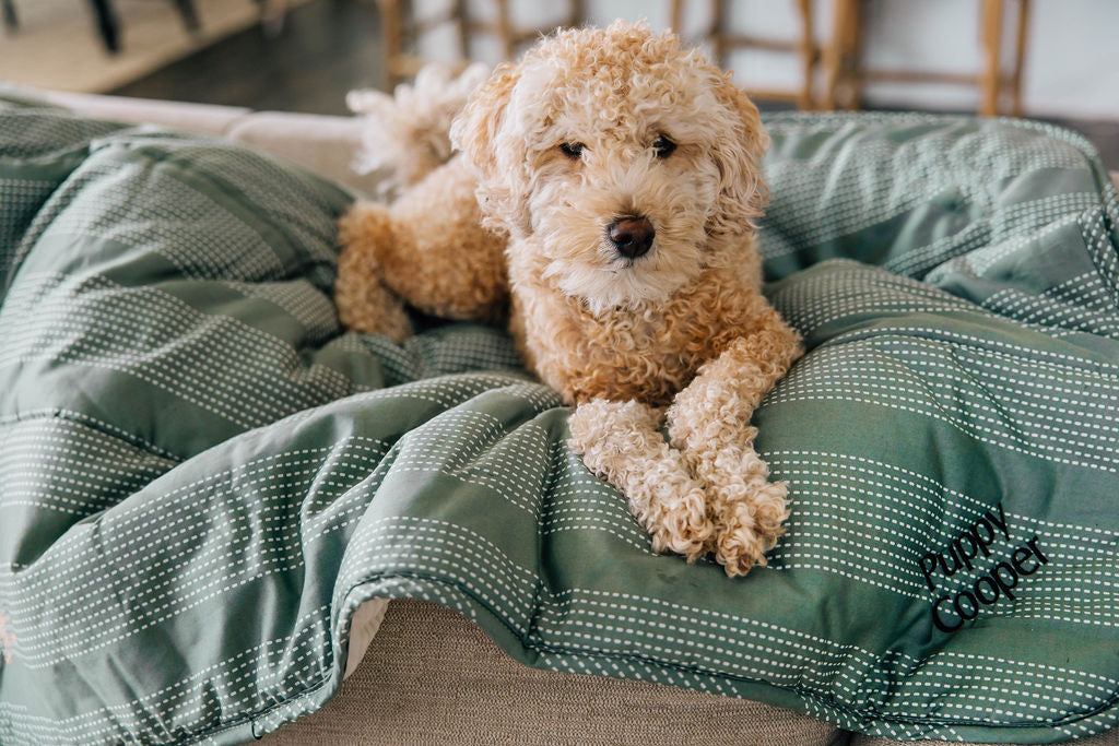 Cozy Mason Mini Blanket - Ultra Soft & Lightweight Throw for Adults & Kids - Perfect for Couch, Bed, Travel & Outdoor Use