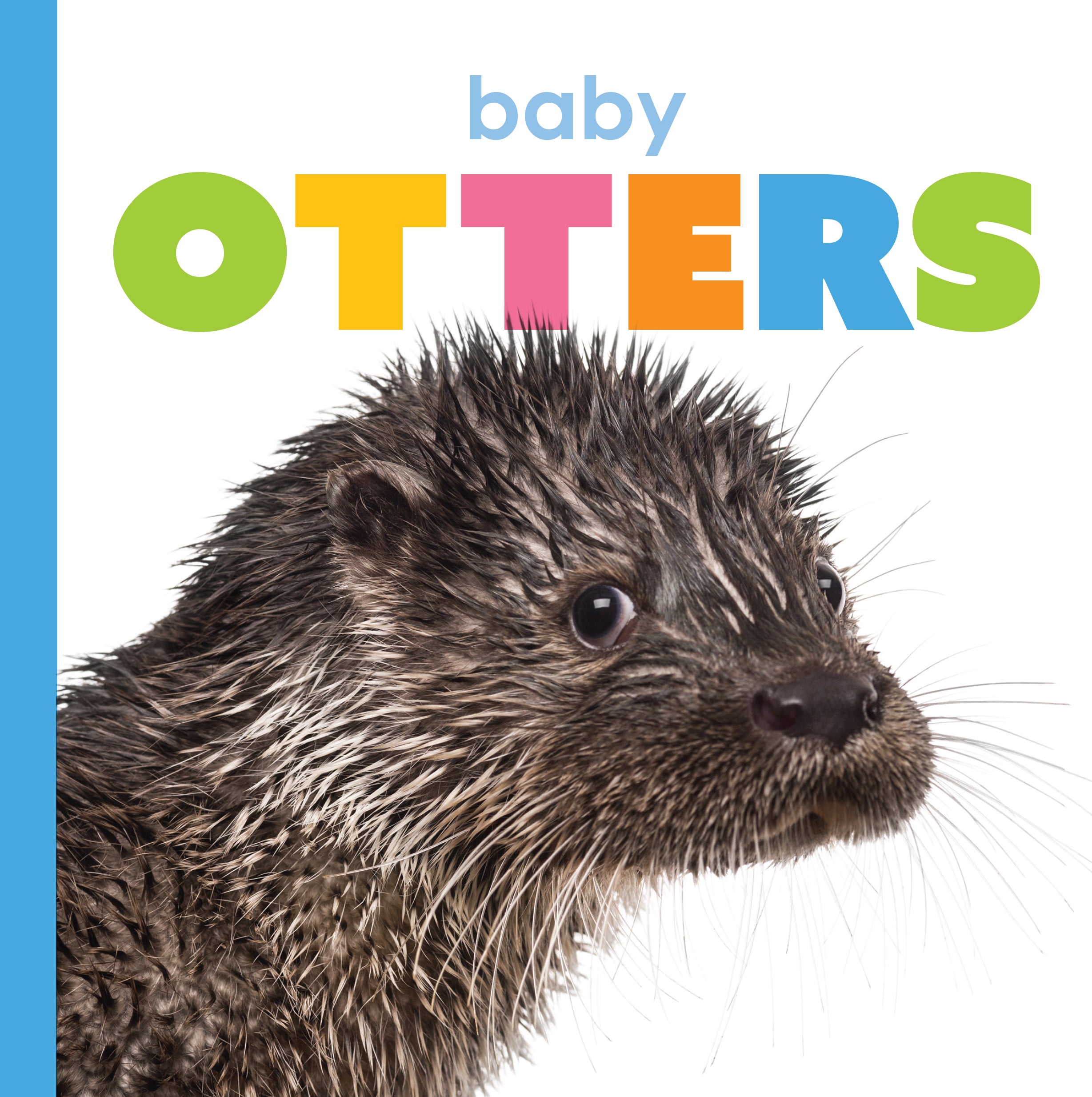 Adorable Baby Otters Book - ISBN 9781640263529 - Perfect for Kids' Storytime & Animal Lovers Gift