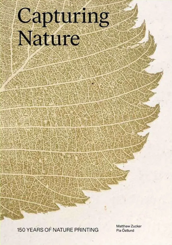 Capturing Nature: 150 Years of Nature Printing - Vintage Botanical Art Prints for Home Decor & Gift Ideas