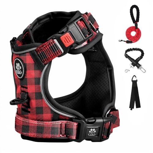 Red & Black