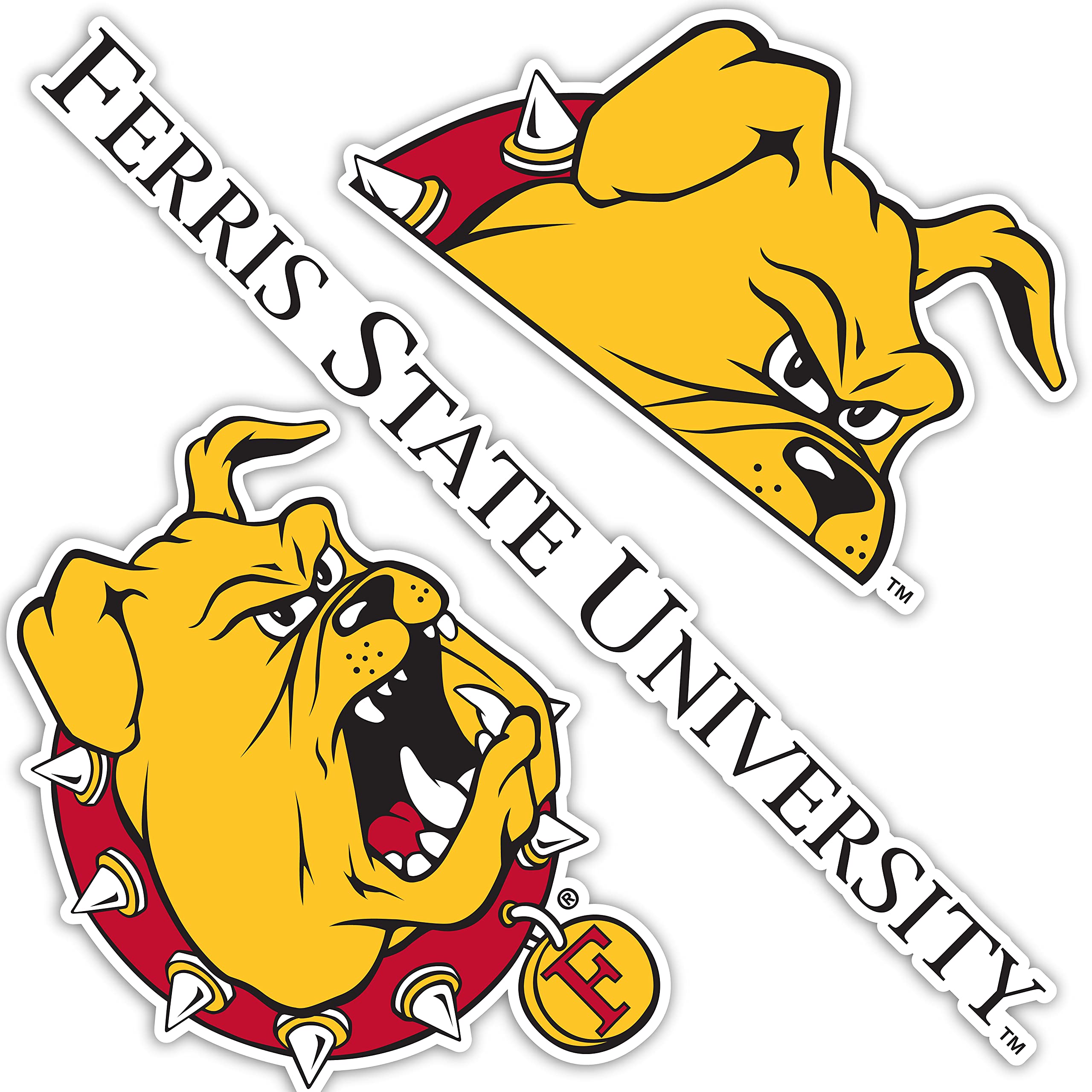 FSU Bulldogs Vinyl Decal Sticker - Desert Cactus Design for Laptop, Water Bottle, Car & Scrapbook (13.43x10.98 Inch Sheet) - Perfect for College Dorm Decor, School Spirit & Fan Gear