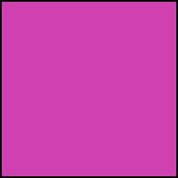 Cape Fuchsia