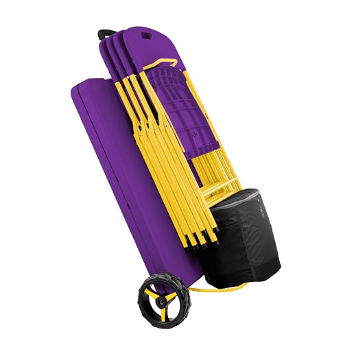 Purple & Yellow