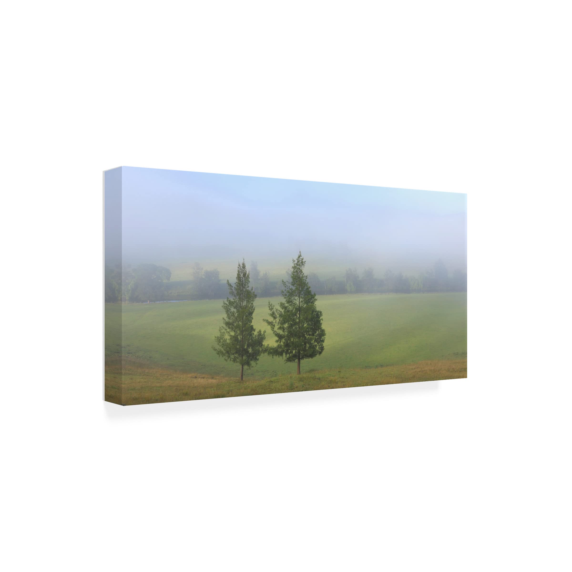 Trademark Fine Art 'Foggy Morning' Canvas Wall Art Print by Beata Czyzowska Young - Landscape Nature Painting for Living Room, Bedroom & Office Decor
