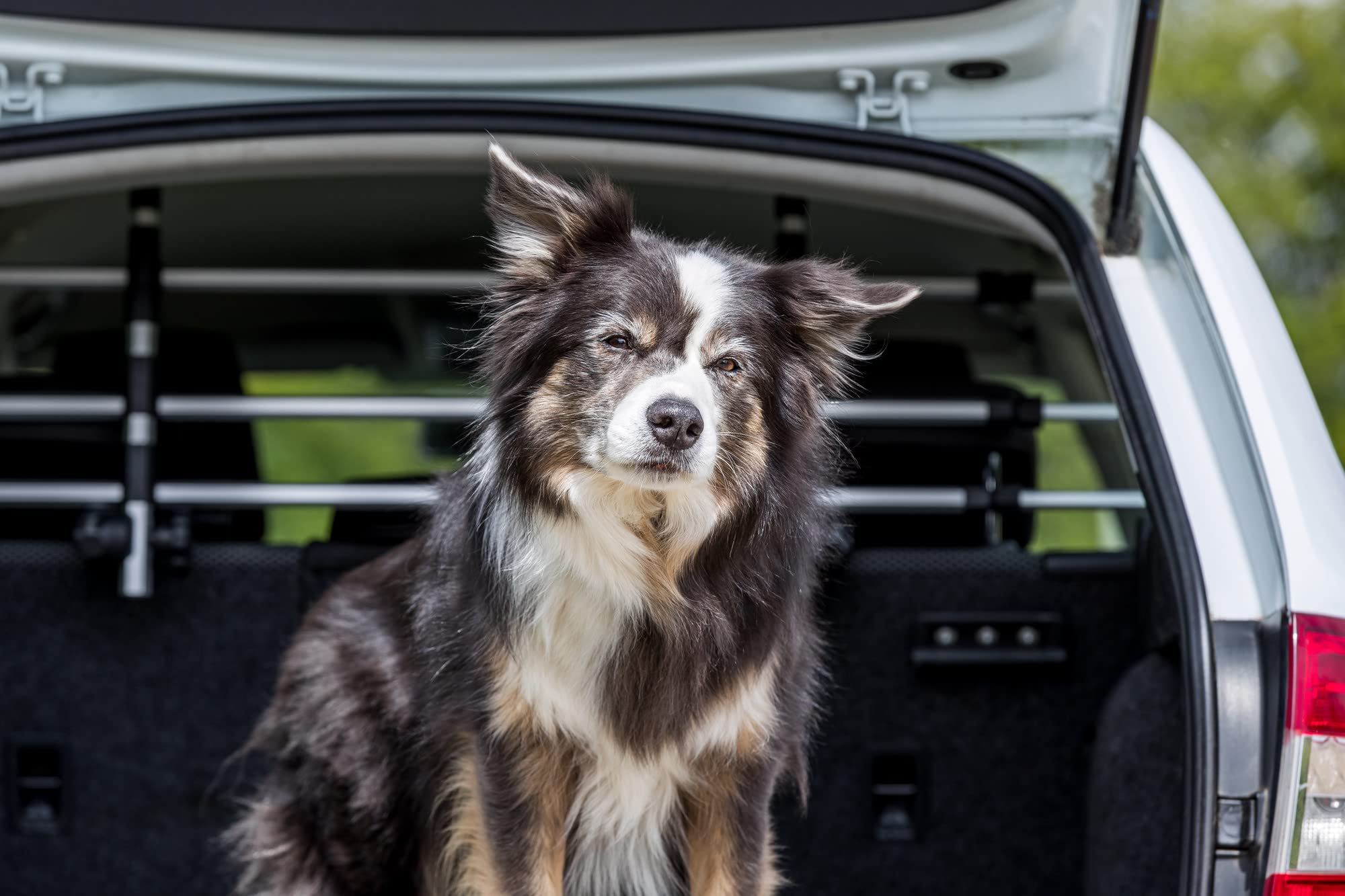 TRIXIE Adjustable Expandable Aluminum Pet Barrier for Cars & SUVs - Medium Size, Silver/Black - Perfect for Safe Dog Travel & Vehicle Protection
