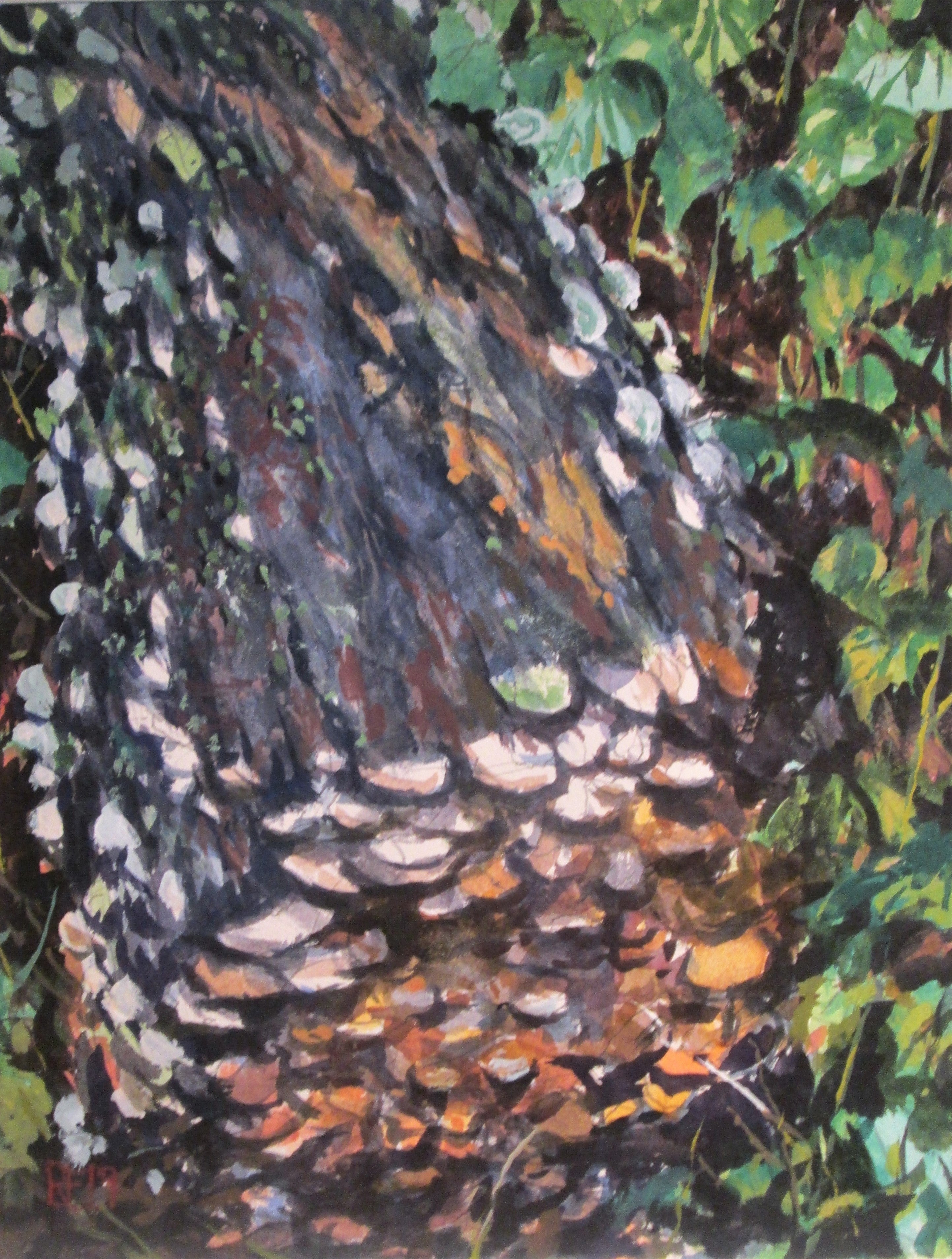 Richard Estell Handcrafted Wooden Log with Natural Fungus Decoration - Rustic Home Decor for Cabin, Farmhouse & Outdoor Spaces
