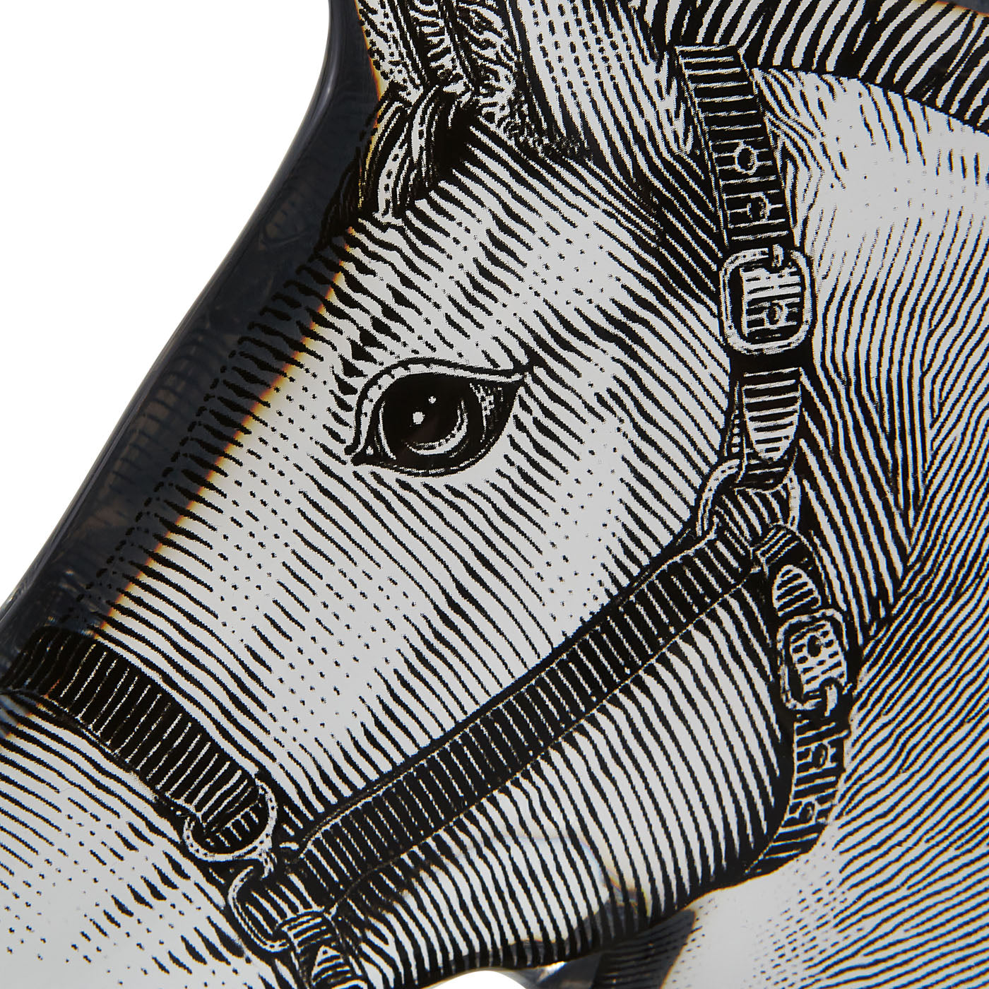 Horse Head Bookends for Shelves - Decorative Bookend Set for Home Office & Library Decor - Perfect for Books, Albums, and Display Items