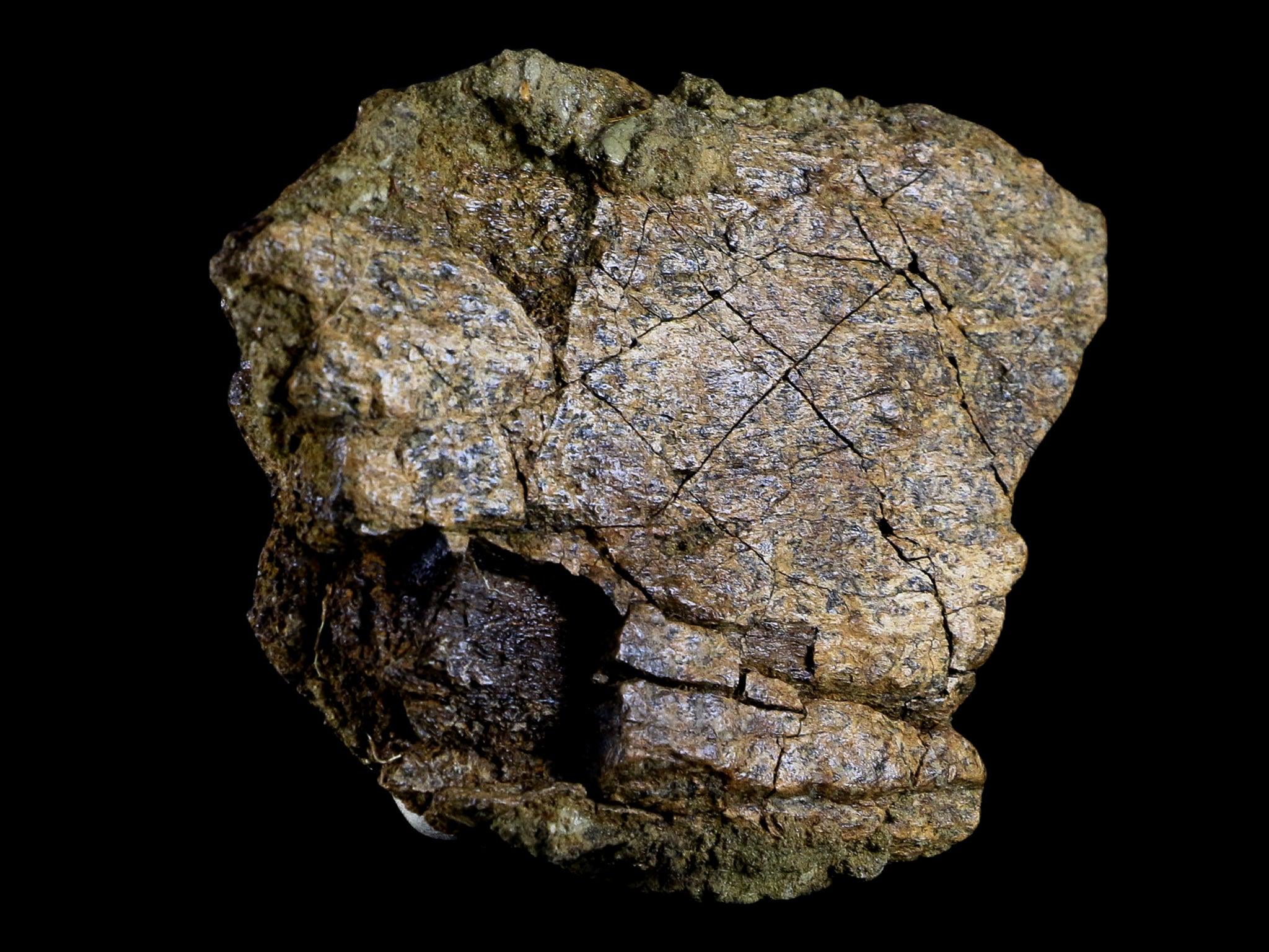 4.1