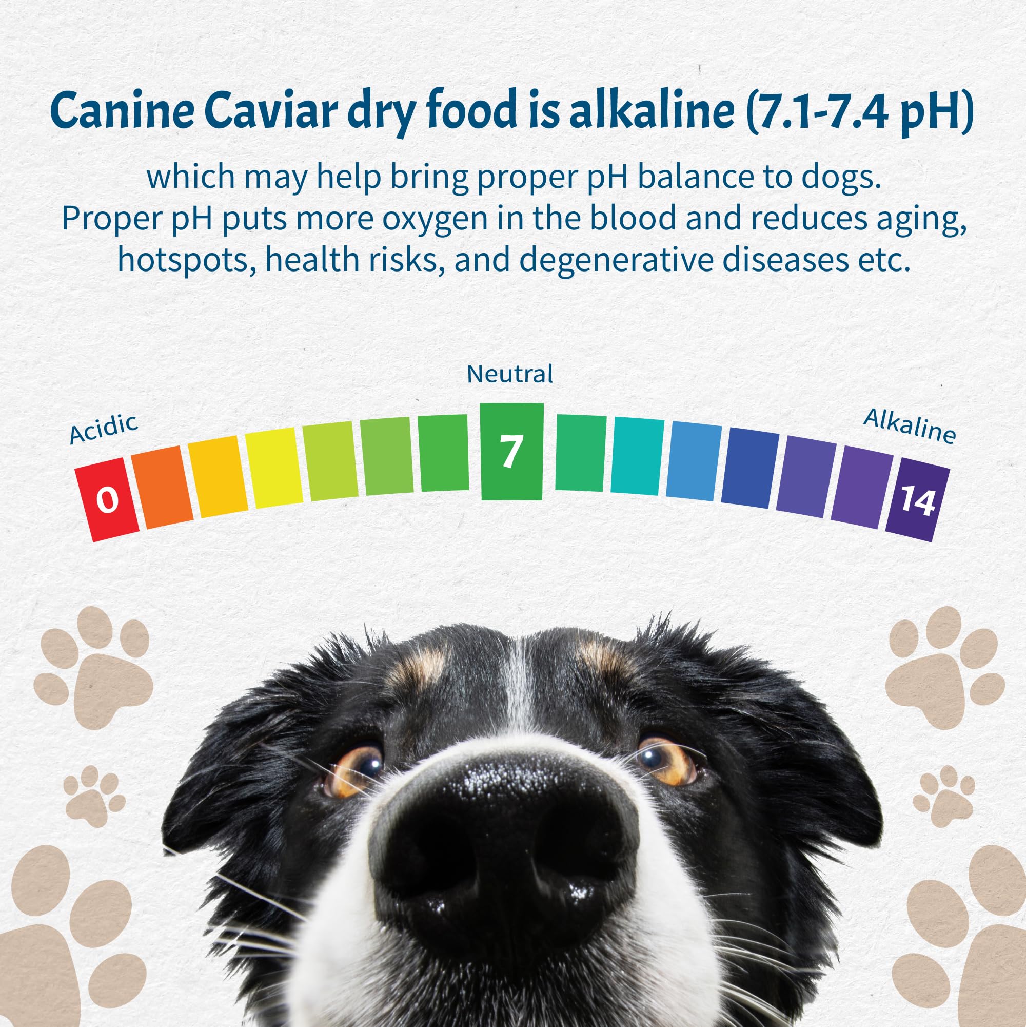 Canine Caviar Free Spirit Chicken & Pearl Millet Alkaline Dry Dog Food - Limited Ingredient, Gluten-Free Formula | Science-Backed Veterinary Alternative Diet for Dogs (22lb Bag) - Perfect for Sensitive Stomachs & Allergies