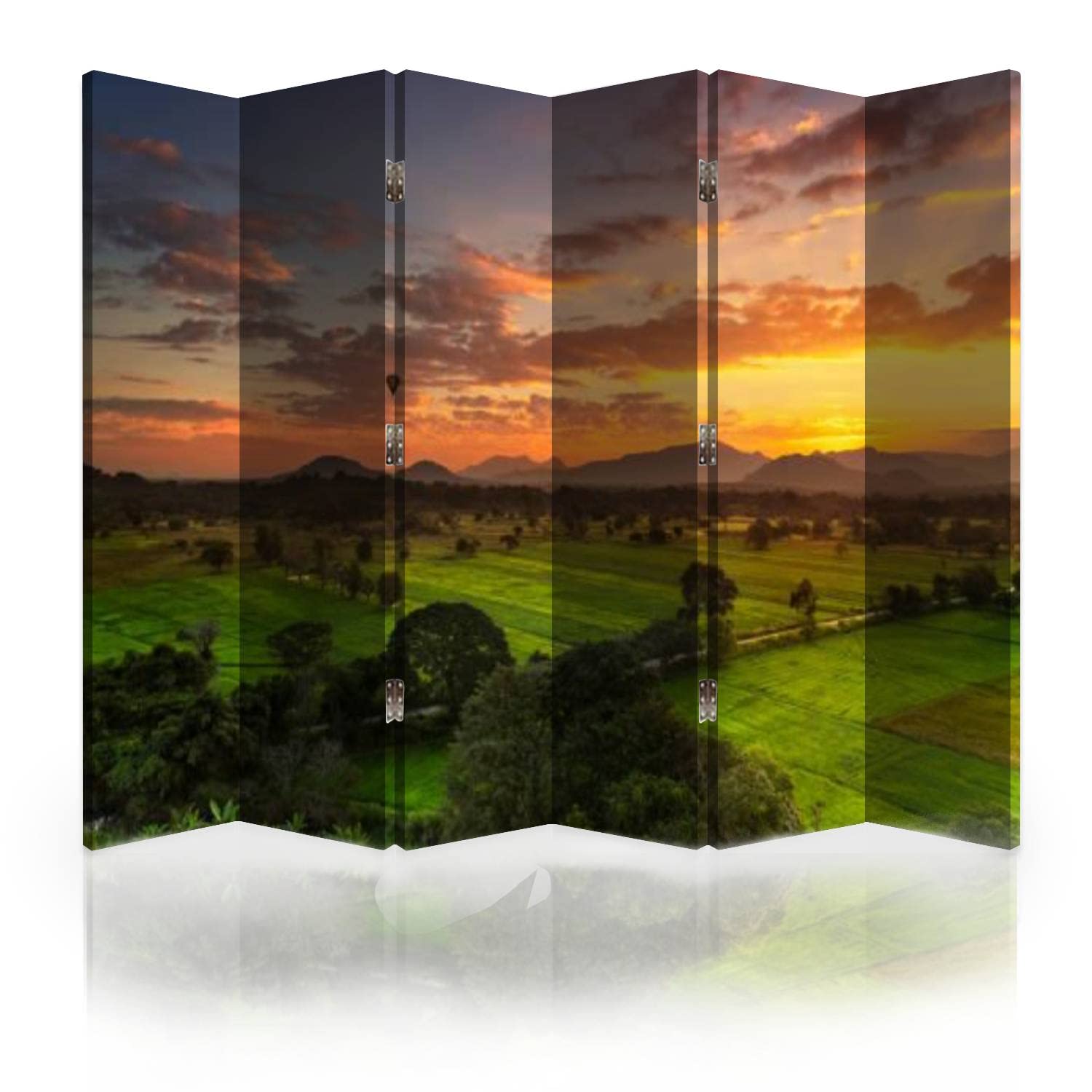 6 Panel Canvas Room Divider Screen - Handmade Sri Lankan Folding Privacy Partition for Bedroom, Office & Living Space | Portable Wall Separator for Home Decor & Space Division