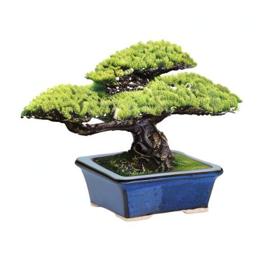 Blue Glazed Ceramic Bonsai Pot - Rectangular Succulent Planter for Small Plants - Indoor & Outdoor Garden Decor for Tables, Desks, and Home Office Spaces - Perfect for Zen Gardens, Terrariums, and Modern Plant Displays