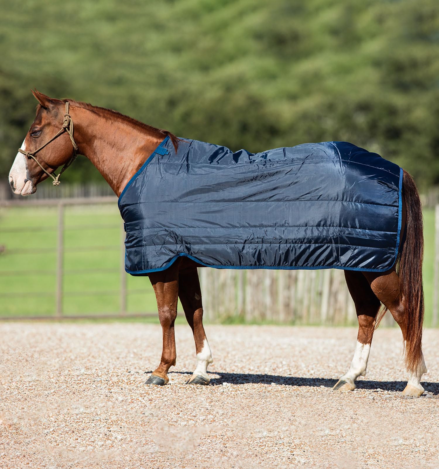 Horseware 100g Blanket Liner for Horses - Lightweight Stable Sheet for Winter & Turnout | Perfect for Cold Weather Riding and Stable Use