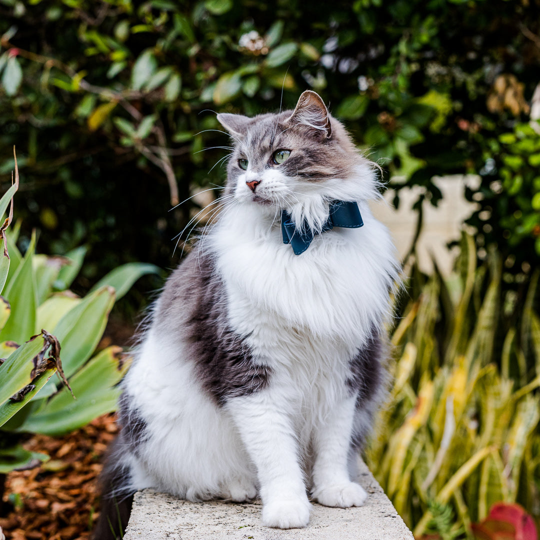 Stylish Navy Blue Leather Cat Bow Tie - Adjustable & Durable Pet Accessory for Kittens & Cats - Perfect for Photos, Parties & Special Occasions