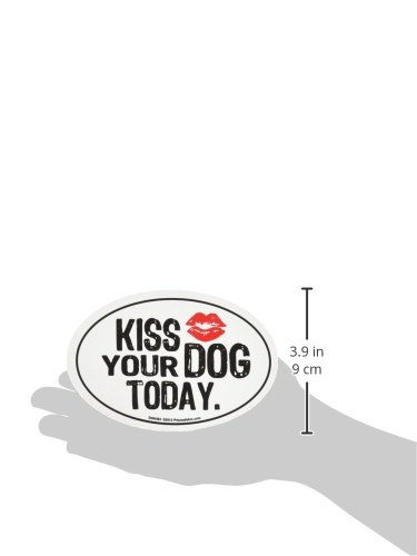 Funny Cat and Dog Fridge Magnets - Cute Pet Lover Gift for Dog & Cat Owners - Perfect for Home, Office, or Gifts