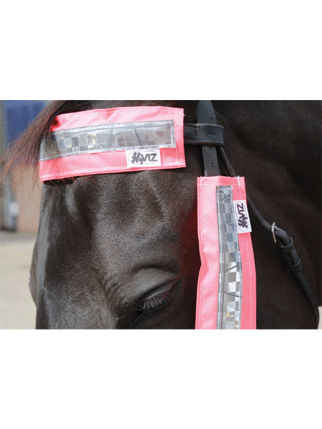 High Visibility Reflective Bridle Set for Horses - Safe Night Riding & Training Gear for Equestrian Sports