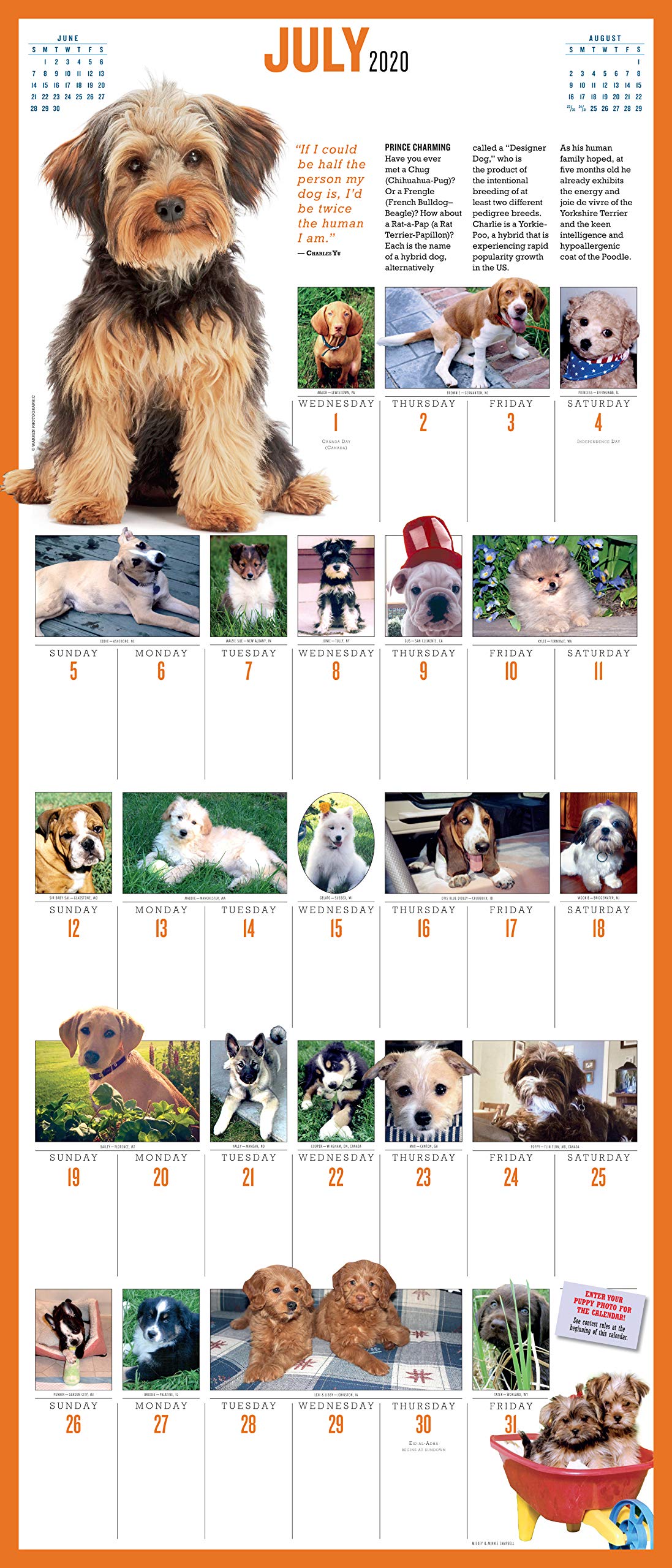 2020 Puppies Daily Wall Calendar - 365 Adorable Puppy Pictures for Dog Lovers | Perfect for Home, Office & Gift Giving