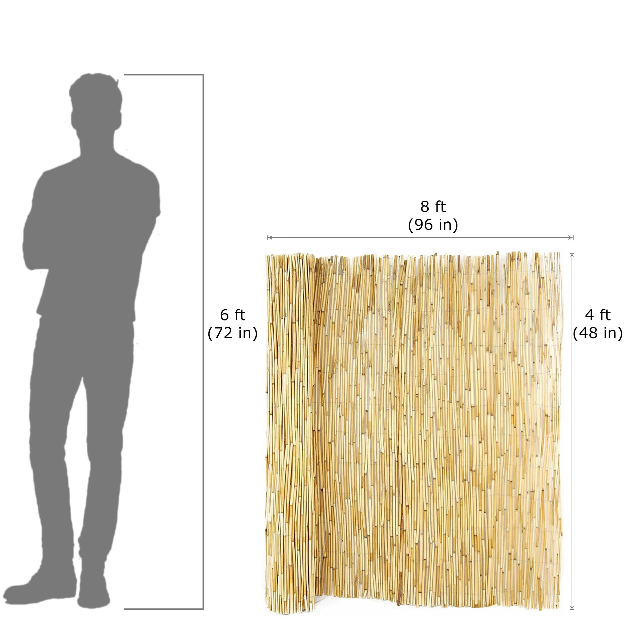 Natural Reed Fencing 4 ft H x 8 ft L (4-Pack) - Decorative Backyard Garden Fence Divider for Privacy, Patio Screening & Outdoor Landscaping