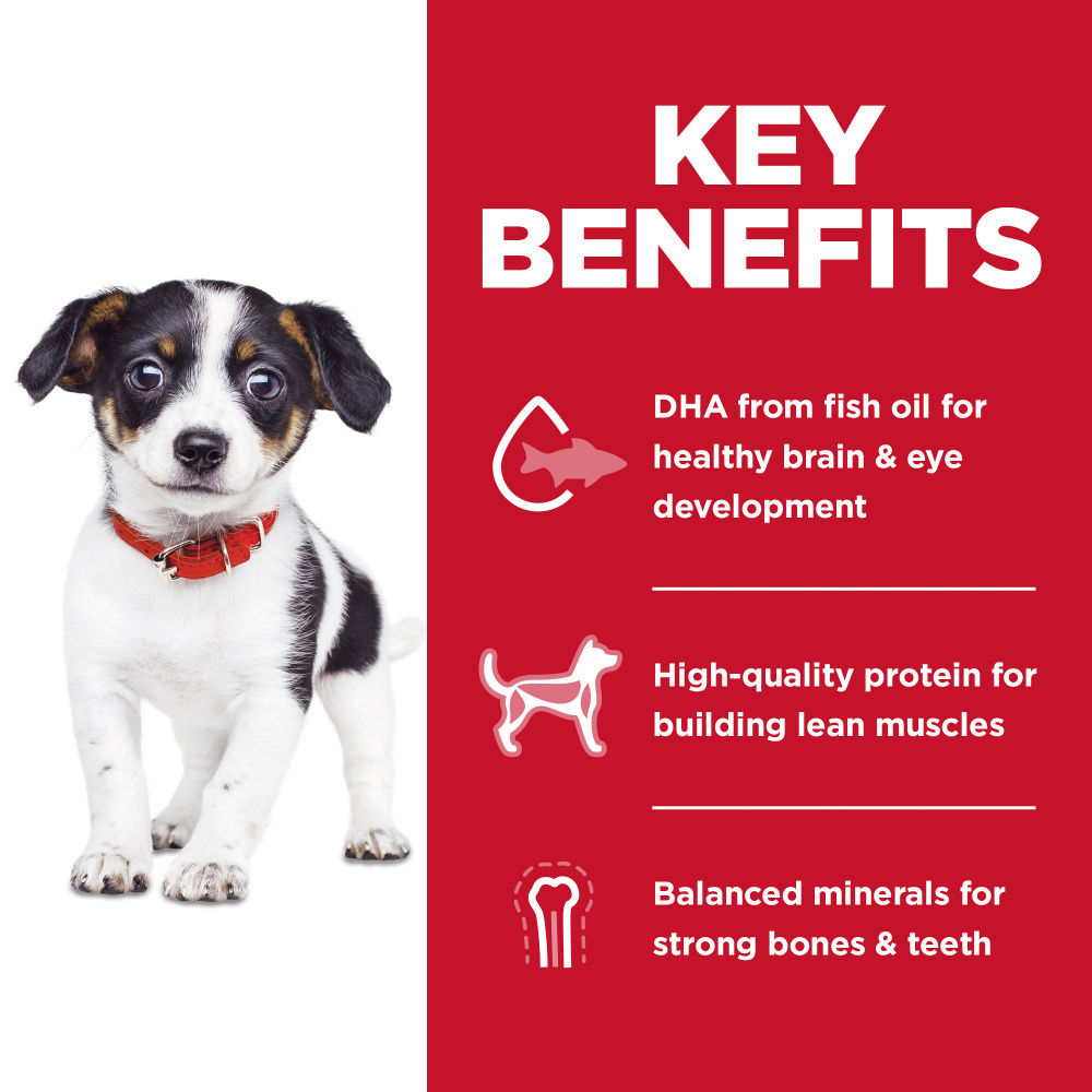 Hill's Science Diet Puppy Dry Dog Food - No Corn, Wheat or Soy, Chicken & Brown Rice Recipe - Perfect for Growing Puppies and Sensitive Stomachs