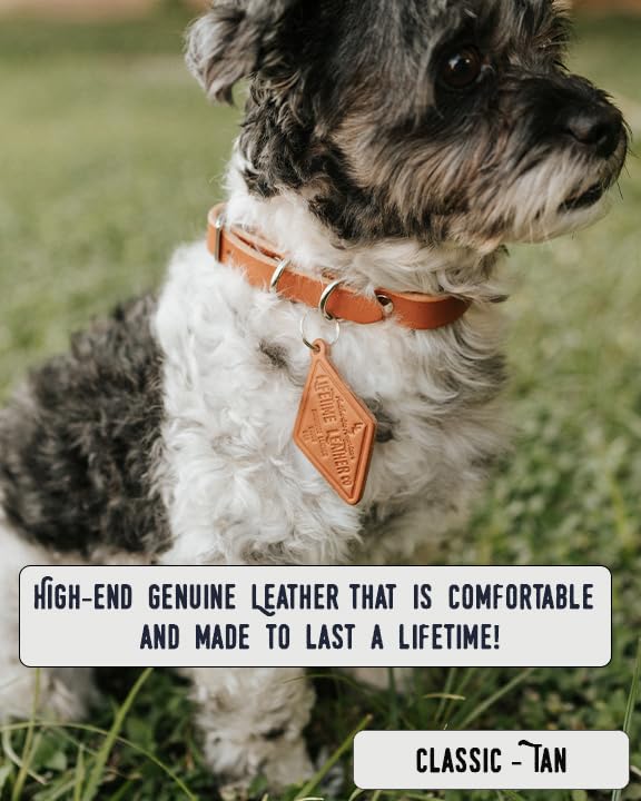 Custom Engraved Leather Dog Collar - Personalized Pet Collar with Name Tag | Adjustable Rustic Puppy & Cat Collar for Training, Walks & Special Occasions
