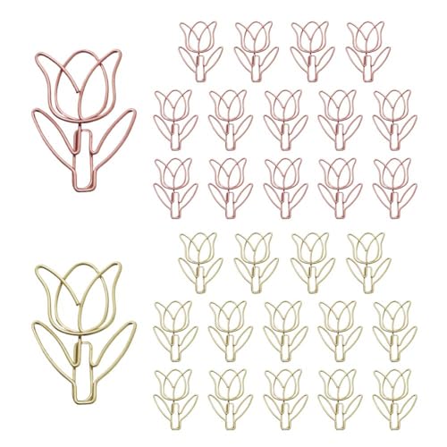 Tulip 30pcs
