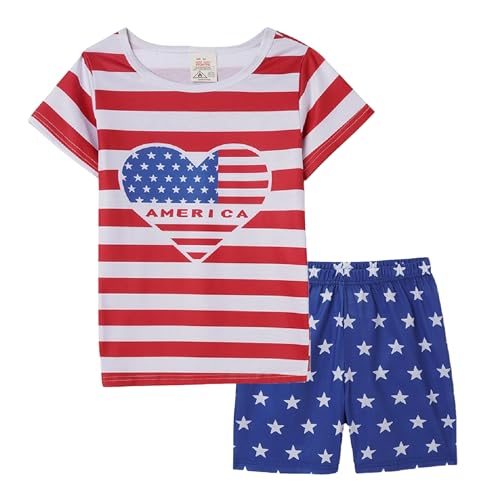 Usa Flag