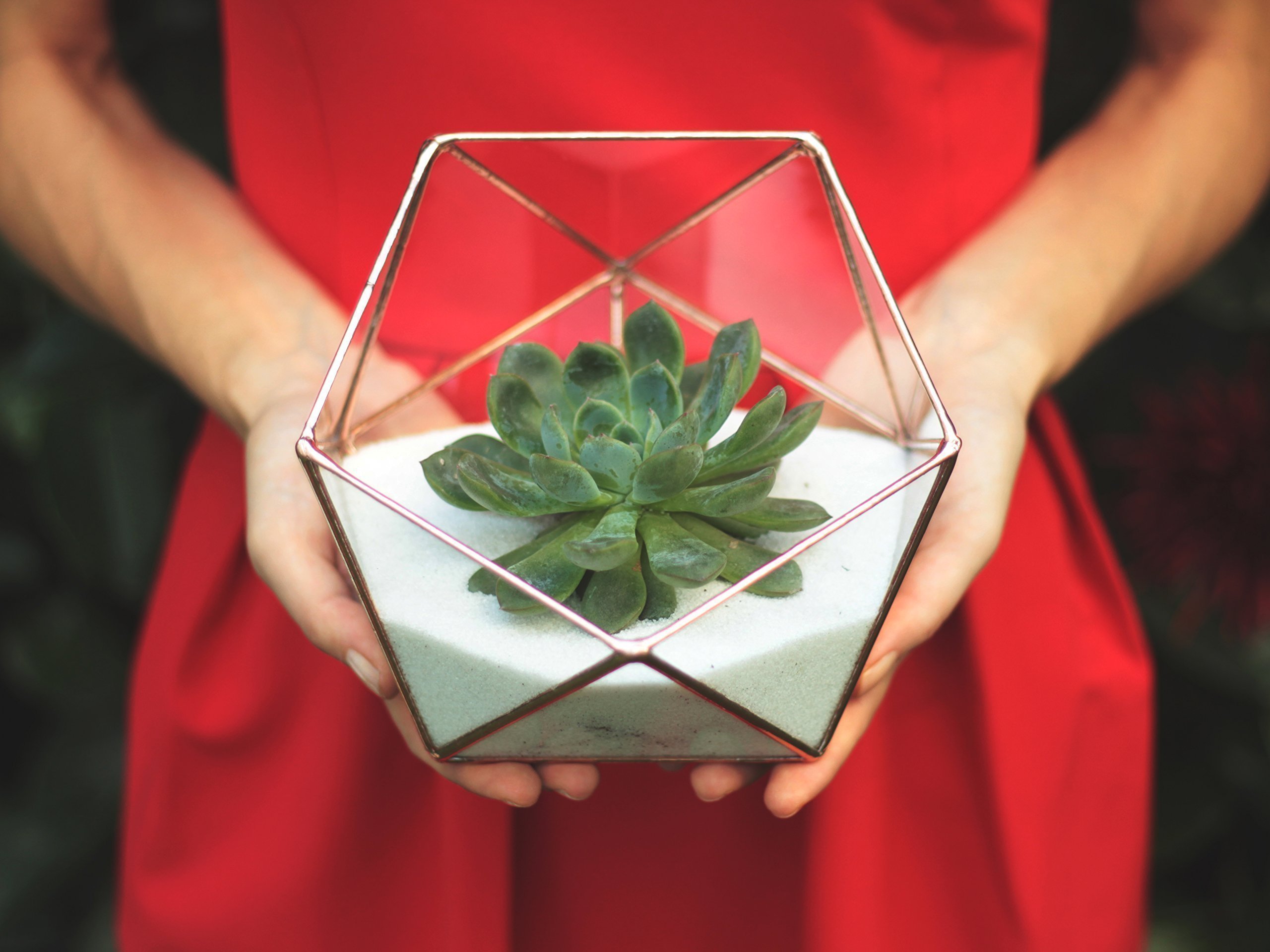 Clear Glass Geometric Terrarium Container - Modern Icosahedron Planter for Succulents & Air Plants | Home & Living Room Decor | Wedding Table Centerpiece & Reception Decor (Copper, Silver, Black) | Perfect for Indoor Plant Display, Office Desk Decor, and Gift Giving