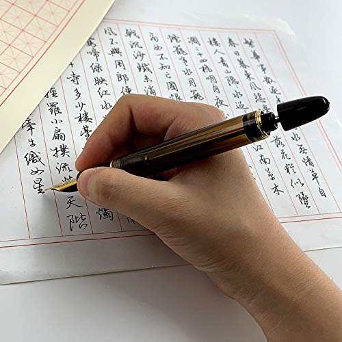 Lanxivi 699 Vacuum Fountain Pen - Fine Nib, Brown Acrylic for Writing & Calligraphy