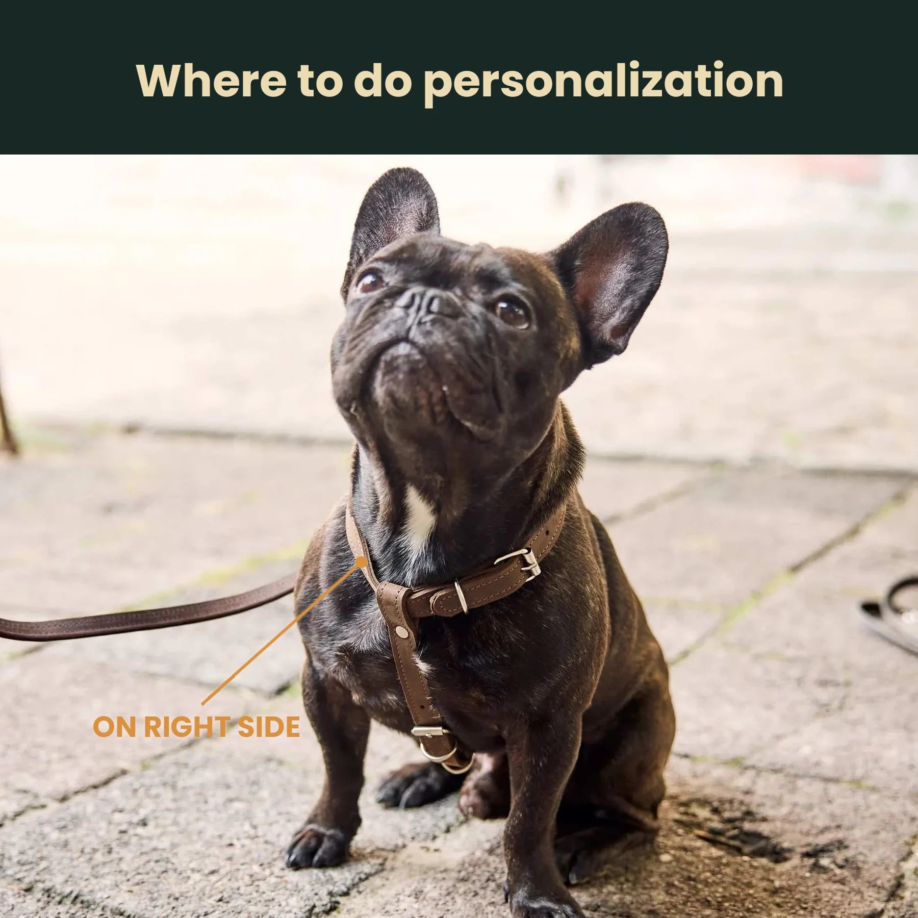 Premium No-Pull Dog Harness with Adjustable Leash - Reflective & Padded for Small Medium Large Dogs - Perfect for Walking, Running, Hiking & Outdoor Adventures