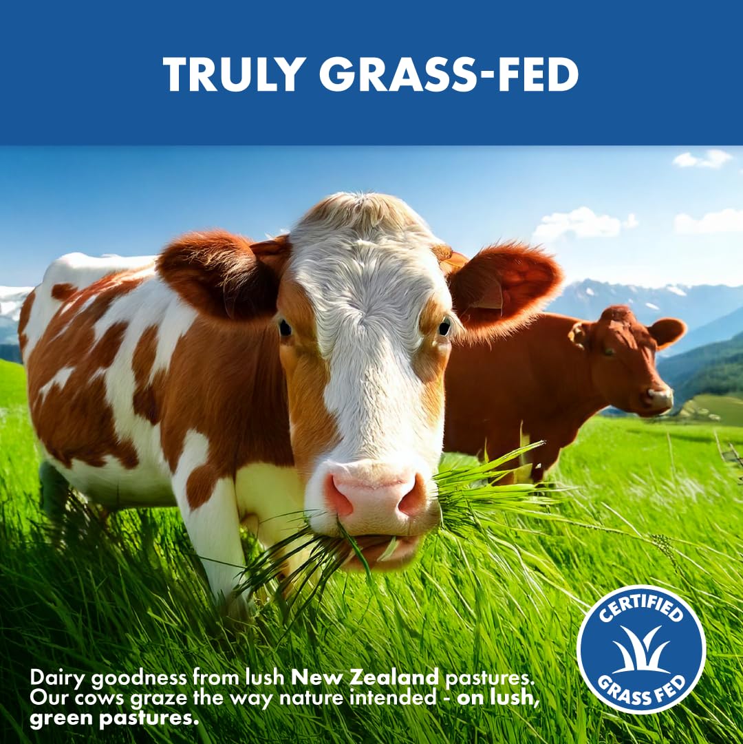 Grass Fed Whey Protein Powder Concentrate - Vanilla Flavor | Pure Protein Supplement | Non-GMO, Hormone Free, Gluten Free | 1lb | Post-Workout Recovery & Muscle Building