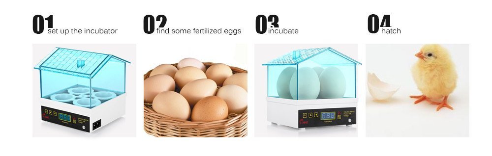 TOPCHANCES Mini Automatic Egg Incubator for 4 Chicken Eggs - Digital Temperature Control with Auto-Turning Feature (Not for Duck/Goose Eggs) | Perfect for Home Poultry Farming, Classroom Science Projects & Backyard Chicken Breeding