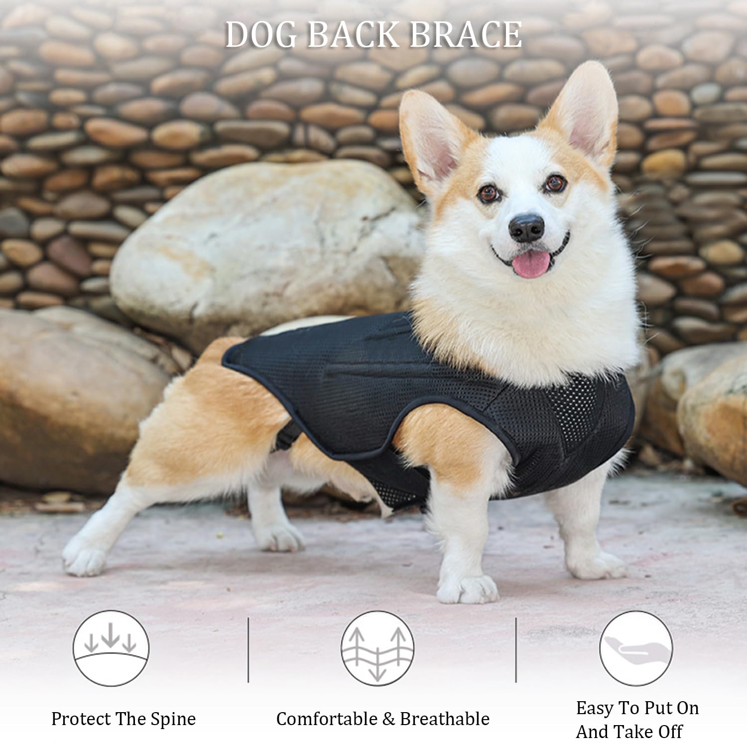 **IVDD Back Brace for Dogs - Adjustable Dog Back Support Vest for Dachshunds & Small Pets - Relief for Arthritis, Back Pain, Herniated Disc & Post-Surgery Recovery (Size S) - Ideal for Walks, Recovery & Daily Comfort**