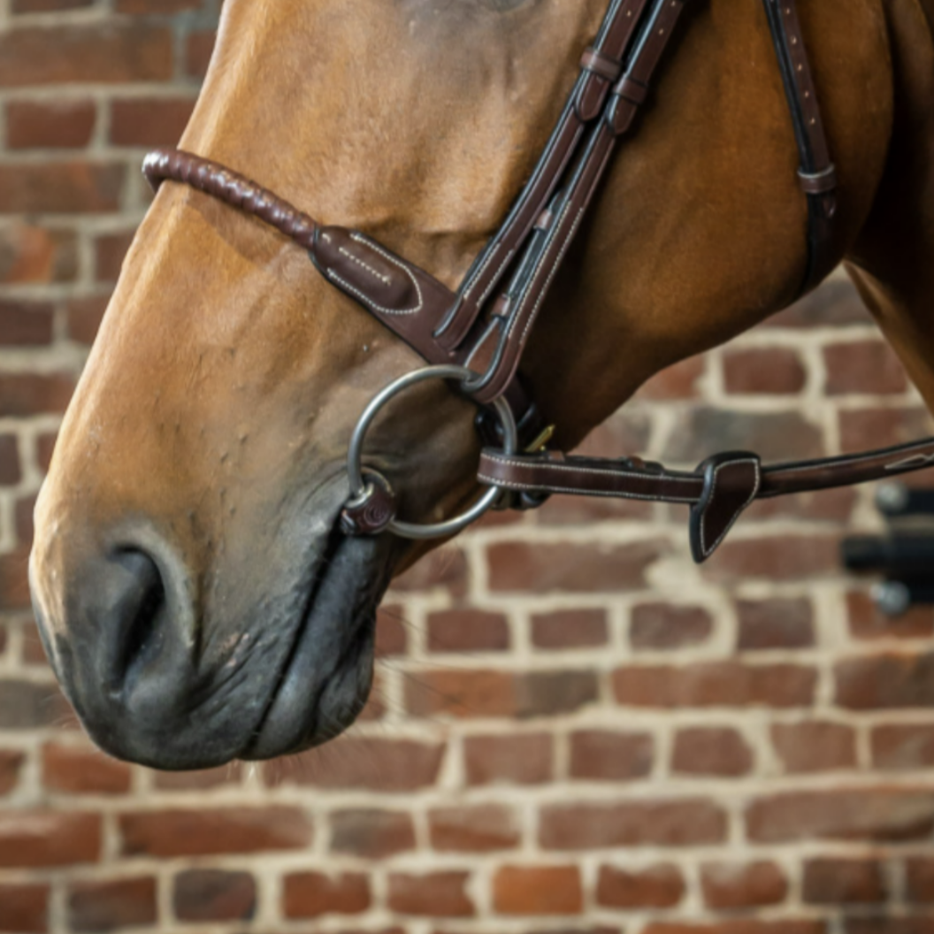 Dy'on Genuine Leather Rope Noseband for Horses - Durable & Adjustable Equestrian Training Gear for Riding and Show Jumping