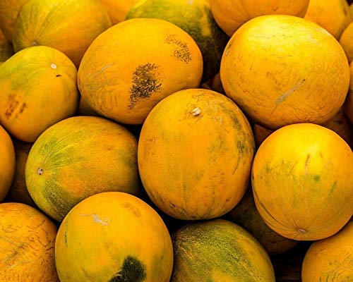 25 Seeds - Kolkhoznitsa Melon (Cucumis Melo) - Rare Russian Collective Farm Fruit #SDF01 - Perfect for Home Gardening, Heirloom Seed Collection & Unique Fruit Cultivation