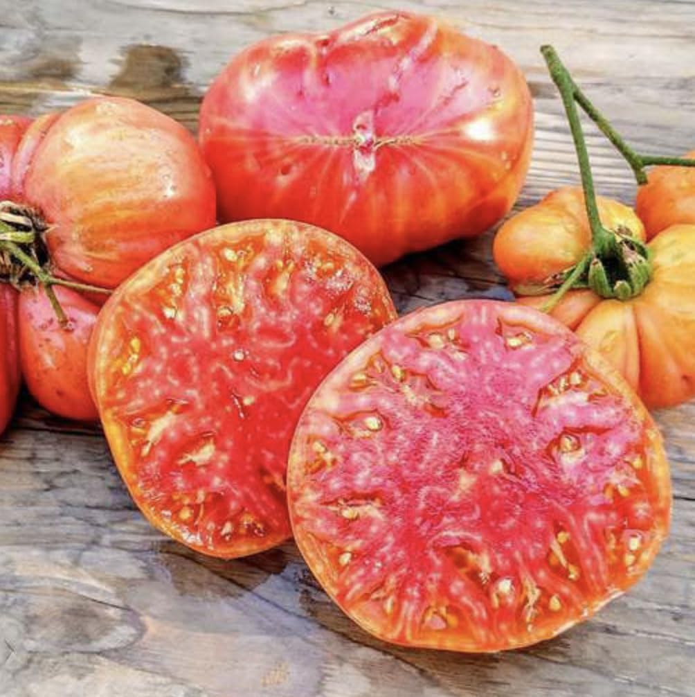Hillbilly Potato Leaf Heirloom Tomato Seeds - Large, Delicious, Non-GMO Tomato Seeds for Home Garden - Perfect for Fresh Salads, Sauces, and Organic Gardening