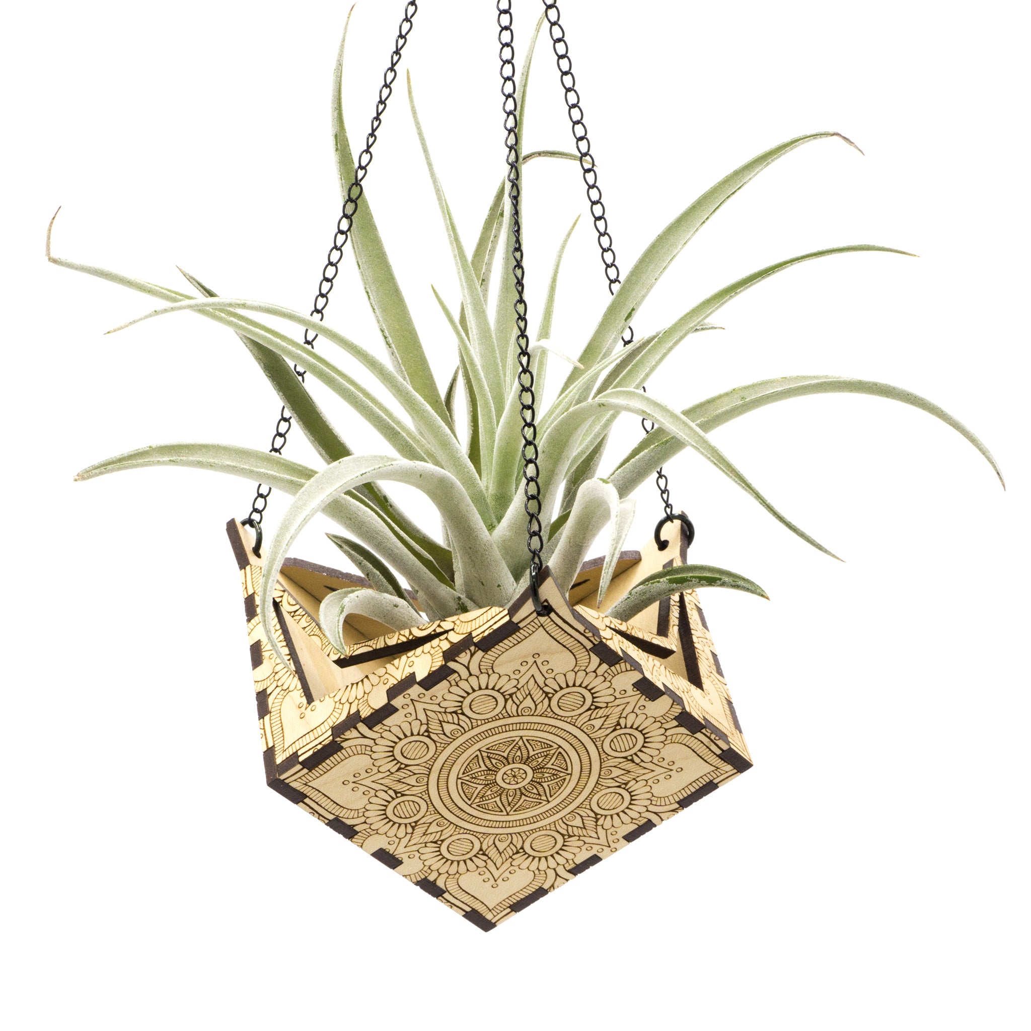 Hemicube Free Hanging Planter - Air Plant Holder | Handmade Wooden Home Decor for Plant Lovers | Unique Wall Display for Living Rooms, Offices & Gifts | Modern Boho Indoor Gardening Decor