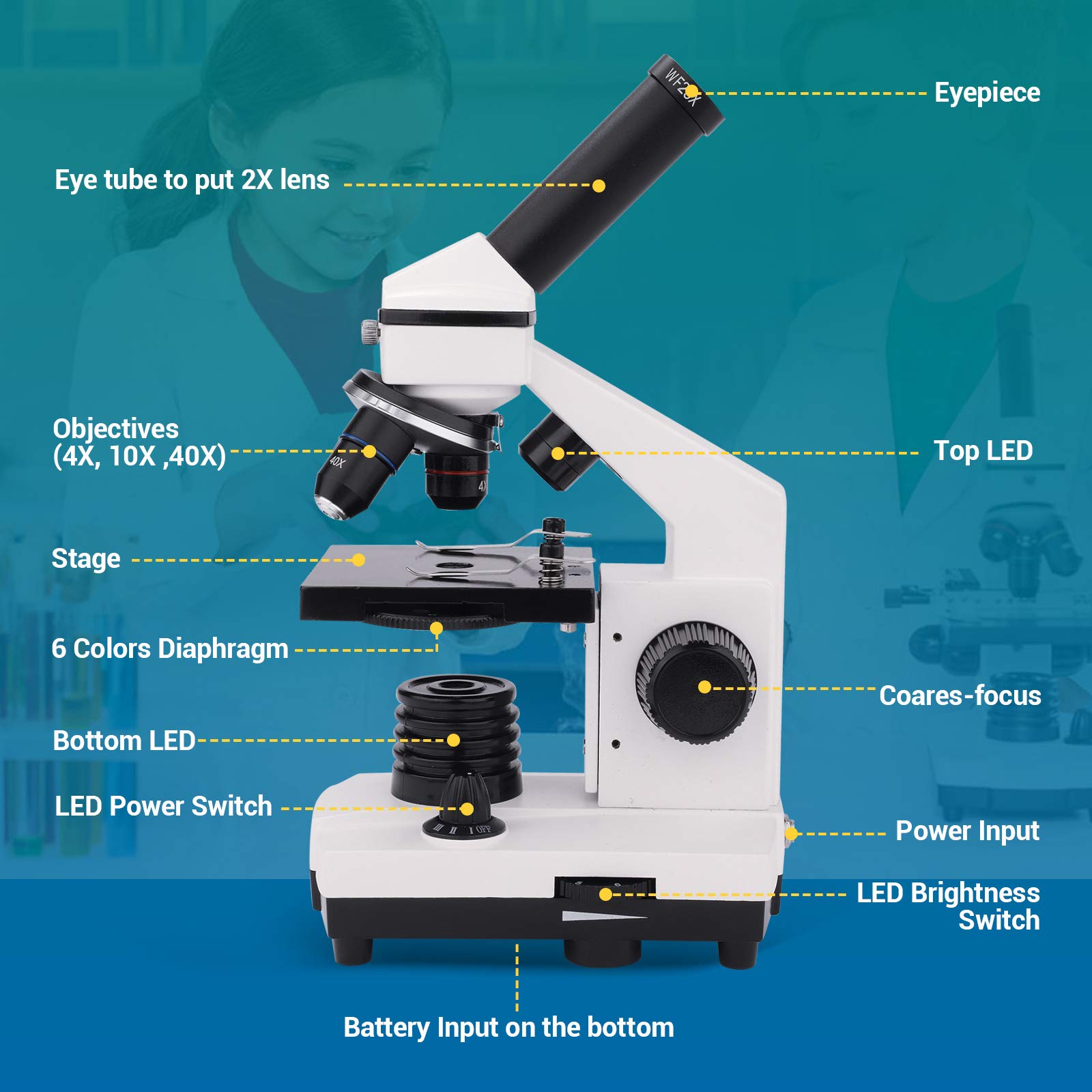 USCAMEL 40X-2000X Professional Compound Microscope for Adults, Students & Kids - Biological Microscope with Slides Set & Phone Adapter - Perfect for School Labs, Home Education & STEM Learning Activities