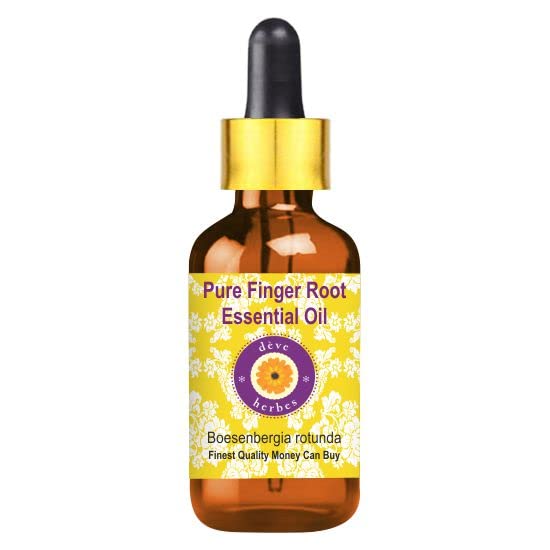 Pure Finger Root Essential Oil (Boesenbergia rotunda) - 2ml Steam Distilled with Glass Dropper - Natural Aromatherapy Oil for Relaxation & Skin Care