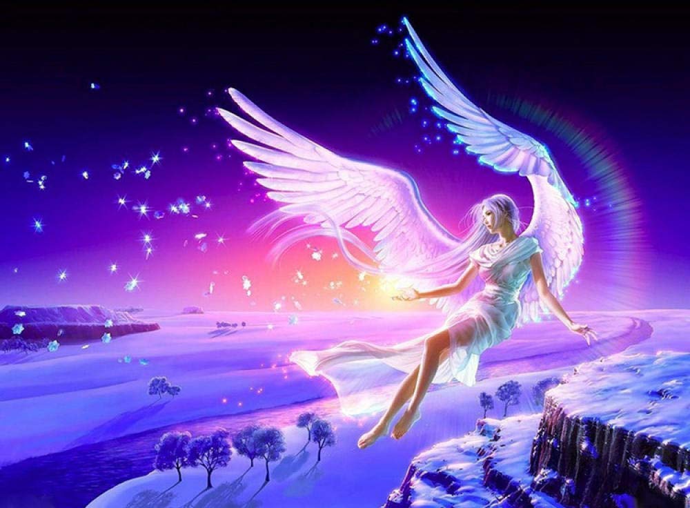3000 Piece Angel Wings Jigsaw Puzzle for Adults - Challenging & Relaxing Puzzle Game for Stress Relief, Family Bonding & Home Decor