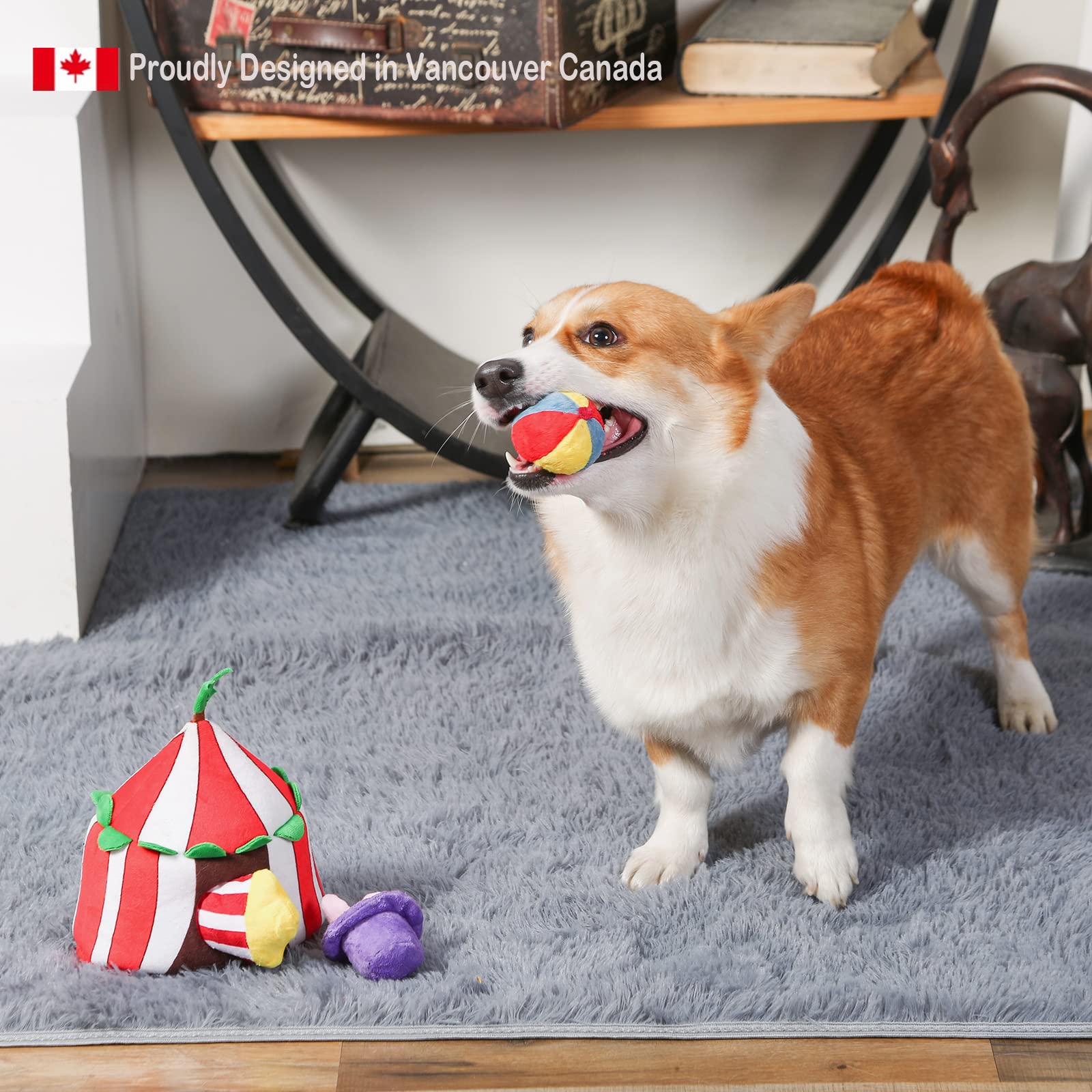 HugSmart Pet Happy Circus Squeaky Hide and Seek Plush Dog Toys - Interactive Puzzle Toys for Small & Medium Dogs | Fun Training & Playtime Companion for Indoor/Outdoor Activities