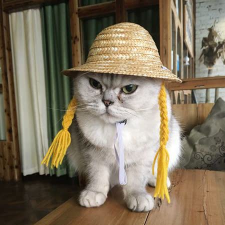 Cute Pet Straw Sombrero Hat - Sun Cap with Braid for Small Dogs & Cats - Yellow Sun Bucket Cap for Birthday Party & Outdoor Play