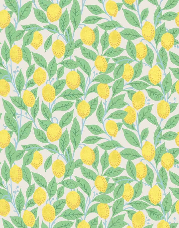 Nathan Turner Lemons Wallpaper - Premium Stone Design for Kitchen & Bathroom Decor
