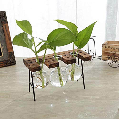 Modern Triple Balls Glass Desk Vase - Hydroponic Plant Terrarium Container with Wooden Stand | Elegant Home & Office Decor for Succulents, Air Plants, or Floating Flowers | Perfect for Windowsills, Desktops, and Shelf Displays