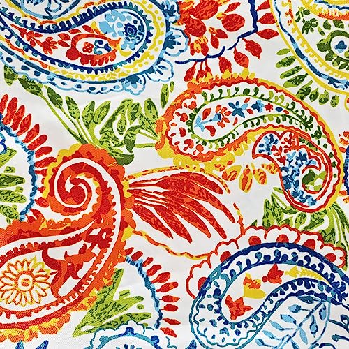 Paisley Print