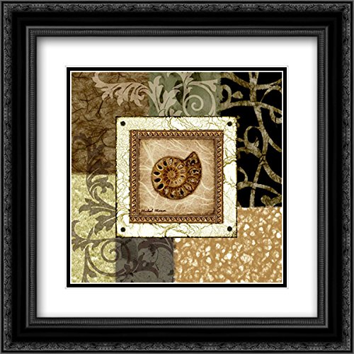 Michael Marcon Nautilus II - 15x15 Black Ornate Framed Double Matted Museum Art Print | Wall Decor for Living Room, Bedroom & Office