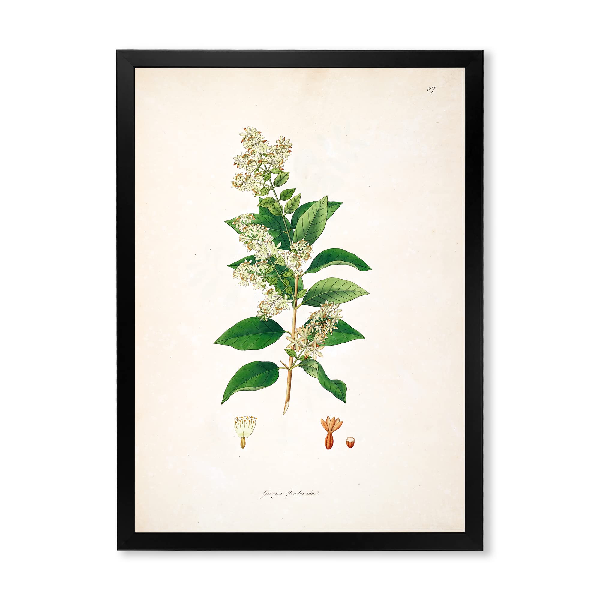 Vintage Botanicals XVII Farmhouse Framed Wall Art - Rustic Floral Home Decor for Living Room, Bedroom & Office - Perfect Gift for Housewarming & Wedding