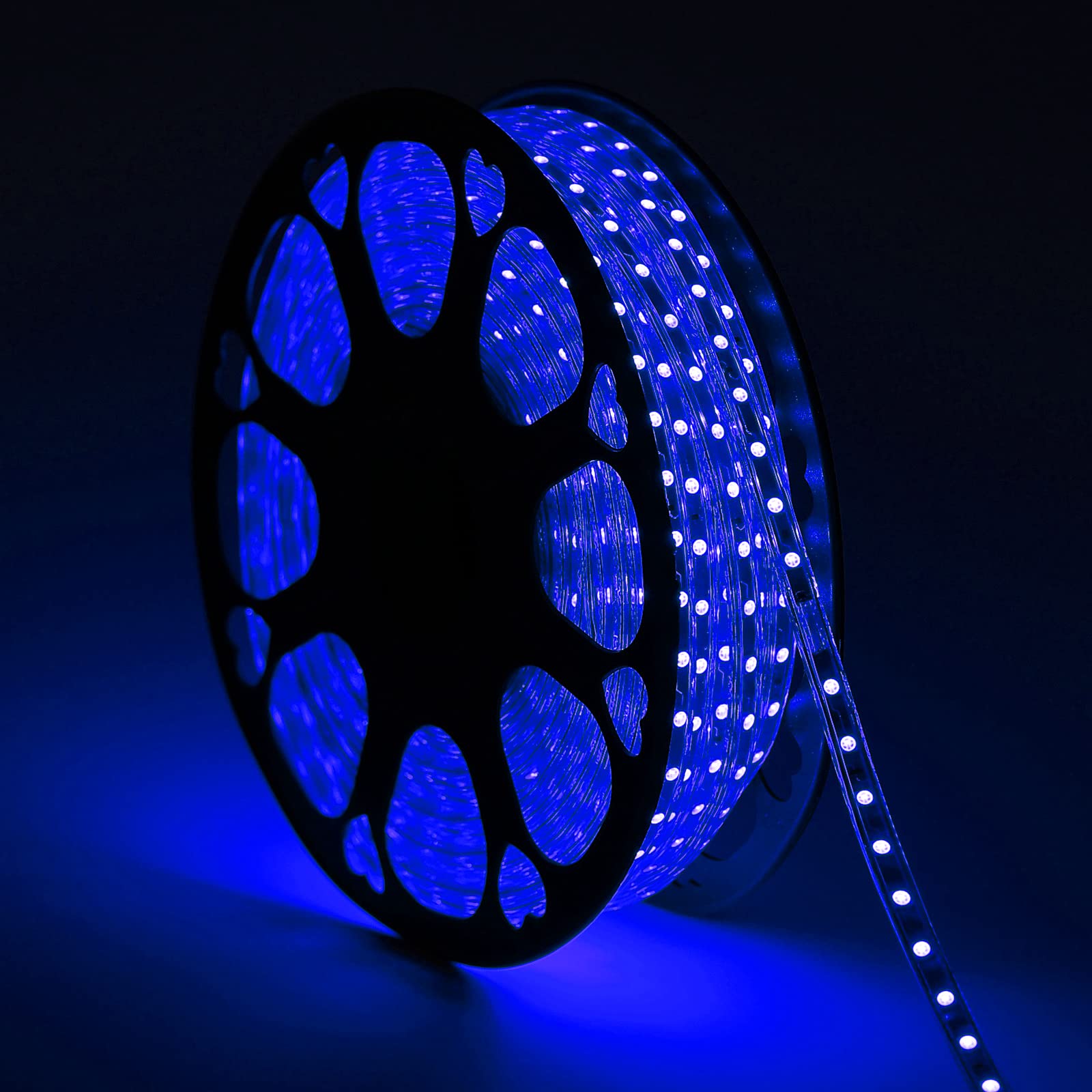 Buyagn 100ft Blue Rope Lights - 110V Waterproof Flat LED Strip Lights Kit for Indoor & Outdoor Decor, Party, Garden, Backyard Lighting | Perfect for Holiday, Wedding, Landscape & Patio Decorations