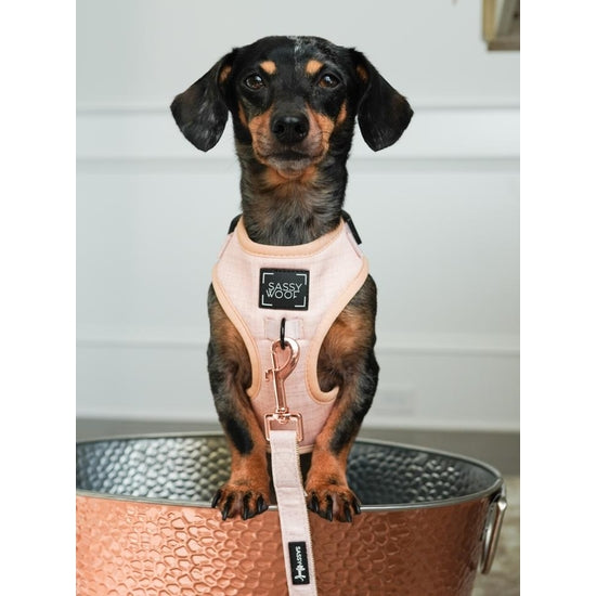 Sassy Woof Adjustable Dog Harness for Small Medium Large Dogs - Reflective & Breathable Pet Vest with 4 D-Ring Leash Attachments (Multiple Colors) - Perfect for Walking, Running, and Outdoor Adventures